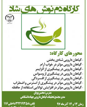 کارگاه دم نوش های شاد