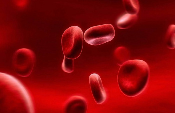 ذخیره بیش از ۹۰۰ نمونه خون بند ناف در خراسان جنوبی
