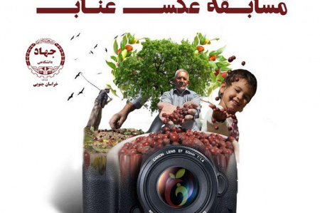 معرفی برگزیدگان مسابقه عکس عناب