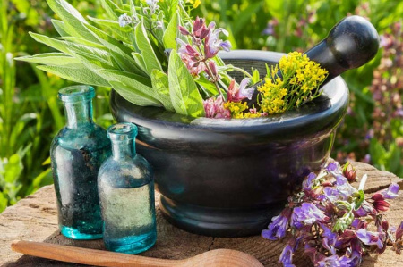 کارگاه ناگفته های مواد غذایی با رویکرد معرفی گیاهان دارویی