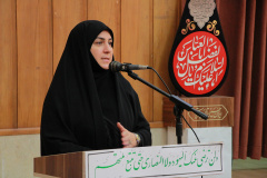 کارگاه تاب آوری بانوان در بحران های اجتماعی برگزار شد