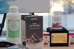 نمایشگاه معرفی گزیده‌ای از دستاوردهای - استانداری خراسان جنوبی