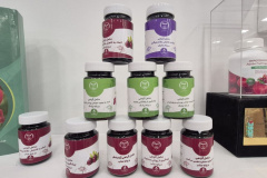 غرفه جهاددانشگاهی در نمایشگاه پژوهش و فناوری/ روز اول