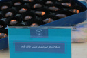 برپایی نمایشگاه دستاوردهای جهاددانشگاهی در استانداری خراسان جنوبی