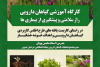 برگزاری کارگاه آموزشی «گیاهان دارویی؛ راز سلامتی و پیشگیری از بیماری‌ها» در شهرستان زیرکوه