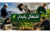 از وام تا اشتغال پایدار؛ نسخه جهاد دانشگاهی برای رونق کسب‌وکارها