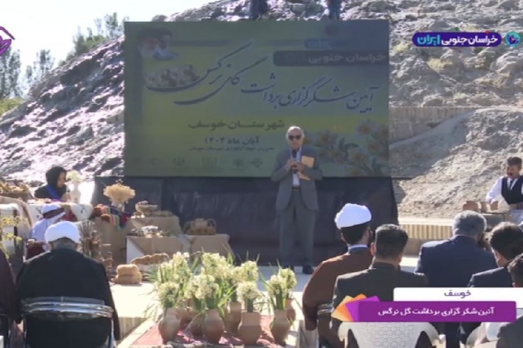 از مزارع خوسف تا دل اروپا؛ گل نرگس ایرانی افسردگی را درمان می‌کند