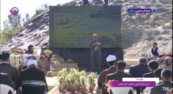 از مزارع خوسف تا دل اروپا؛ گل نرگس ایرانی افسردگی را درمان می‌کند