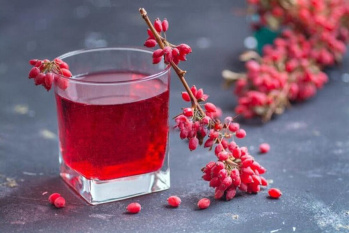 سرکه فراسودمند زرشک؛ یاقوت سرخ خراسان جنوبی در خدمت سلامت متابولیک