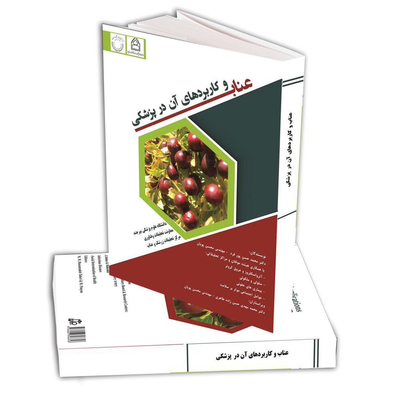 عناب و کاربردهای آن در پزشکی